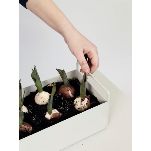FermLivingPlantboxLightGrey-31