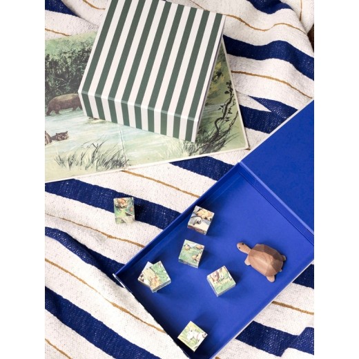 FermLivingStripedboxGreenoffwhite-31