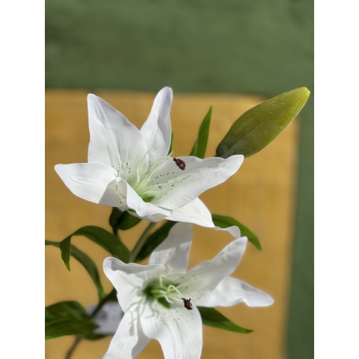 SpecktrumFlowersLiljeHvid-31
