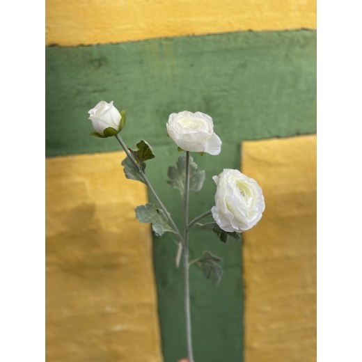 SpecktrumFlowersRanunkelHvid-31