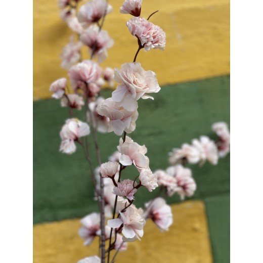 SpecktrumFLowersCherryblossombranchRose-33
