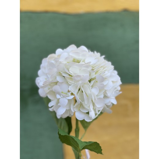 SpecktrumFLowersHortensiaHvid-33