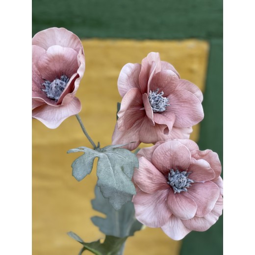 SpecktrumFLowersValmueStvetrose-31