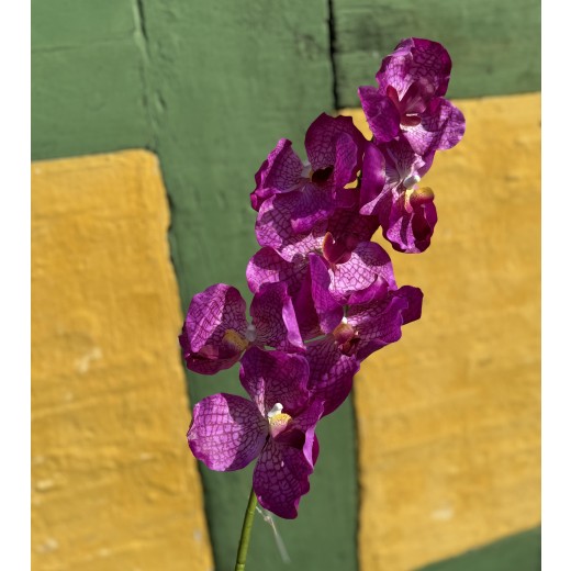 SpecktrumFLowersOrkid7hovederPink-32