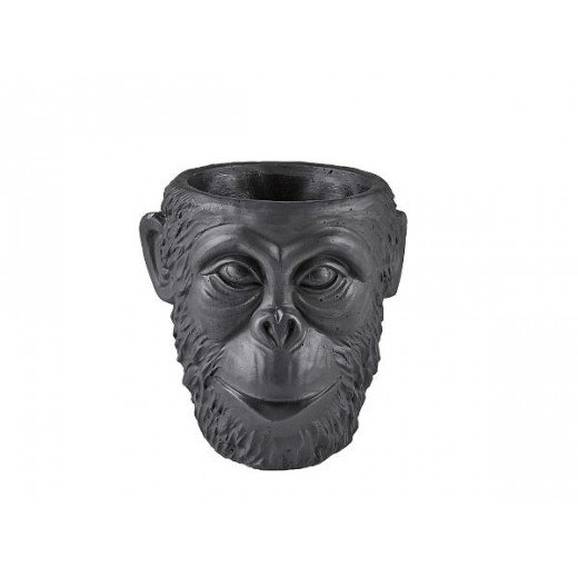 VillaCollektionSkjulergorillasort-31