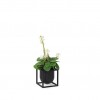 ByLassenKubusFlowerpot10sort-01