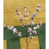 SpecktrumFLowersCherryblossombranchRose-03