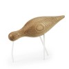 NormannCphShorebirdlargeeghvid-01